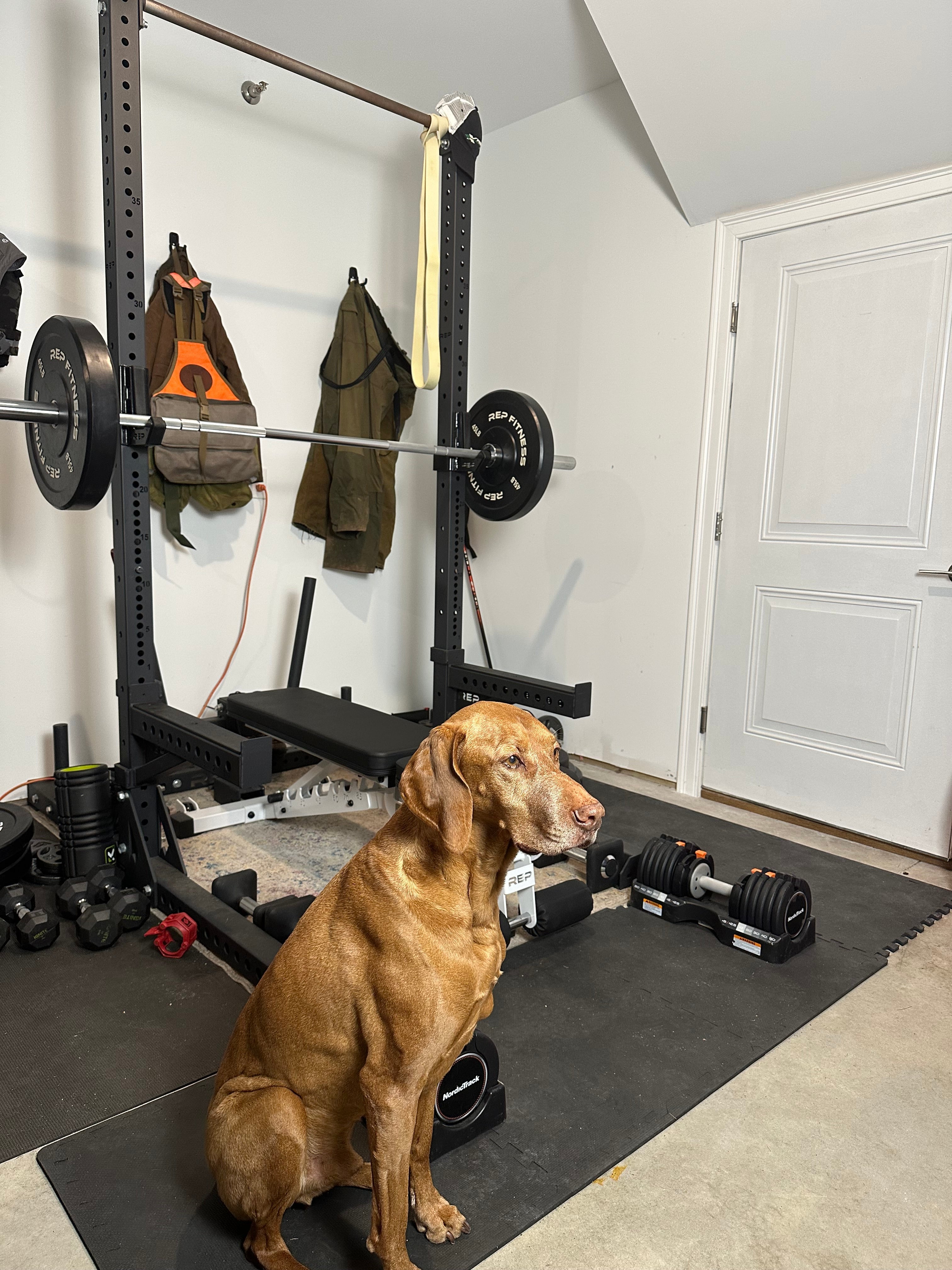 The Case for Hiring a Hunting Performance Coach