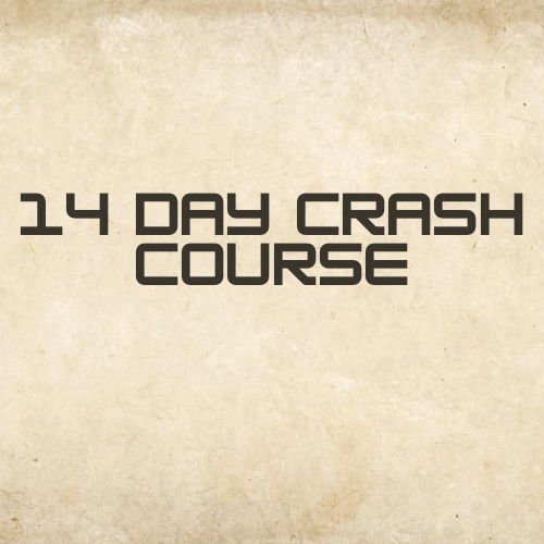 14 Day Bird Dog and Handler Crash Course