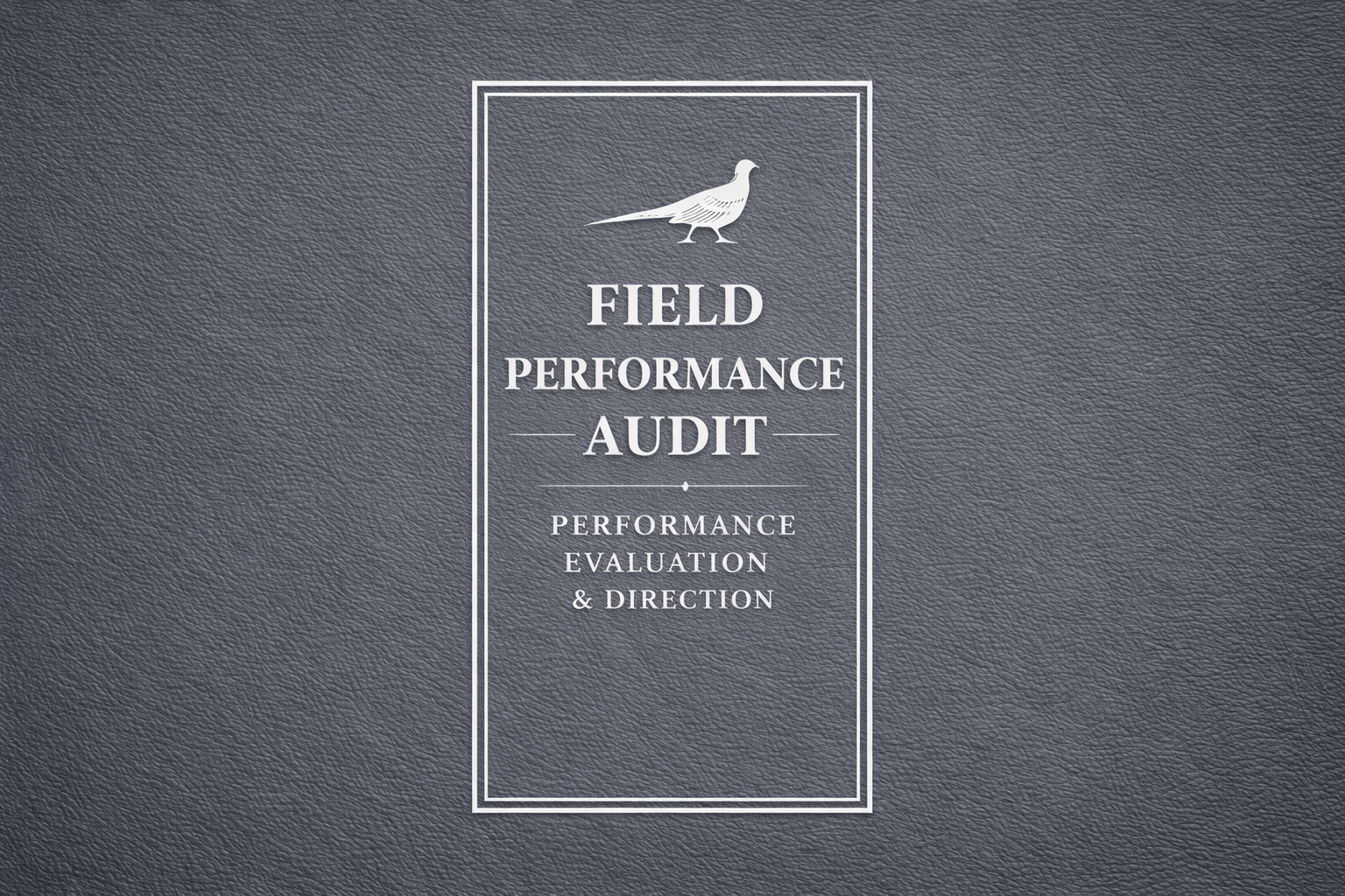 Field Performance Audit