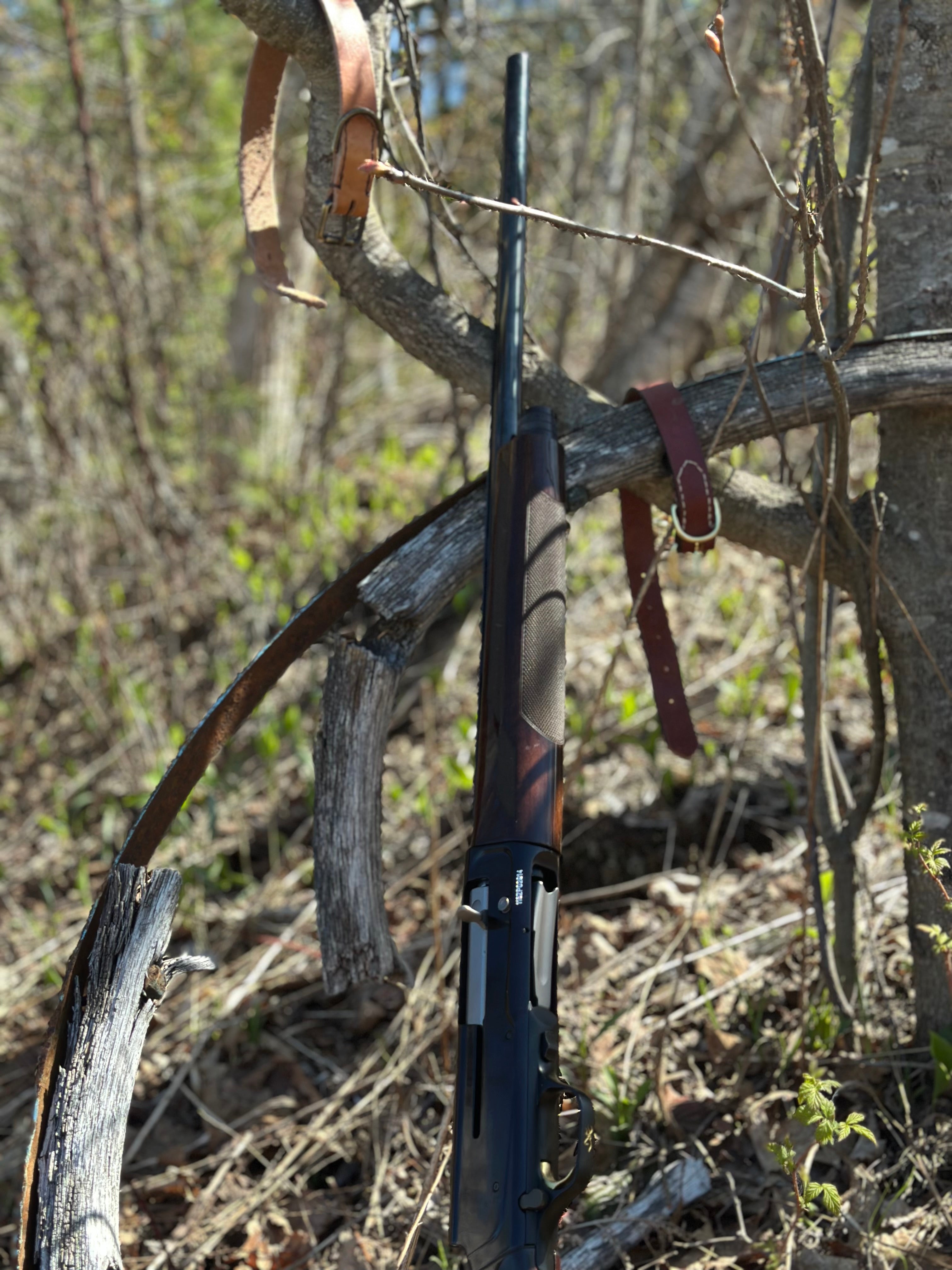 Forged Field Dog Collar - Preorder - Ships End of July
