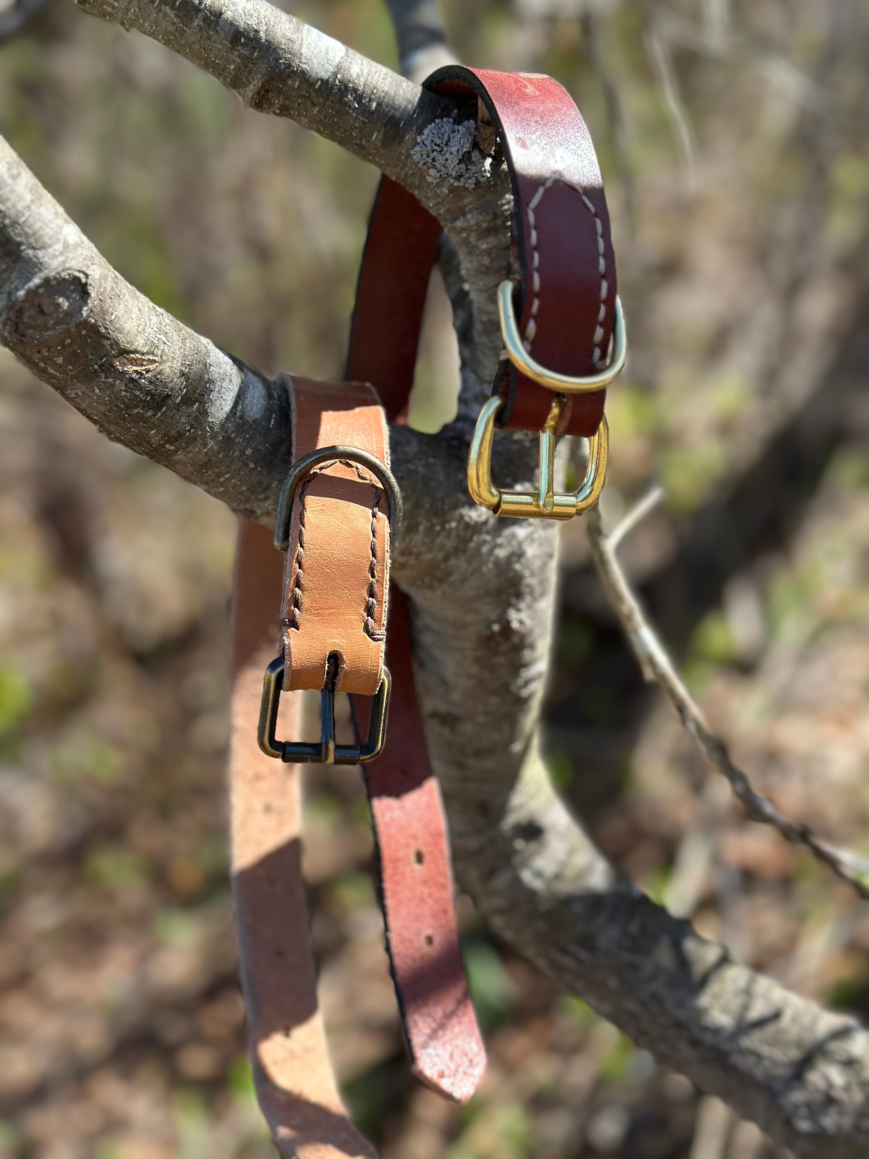 Forged Field Dog Collar - Preorder - Ships End of July