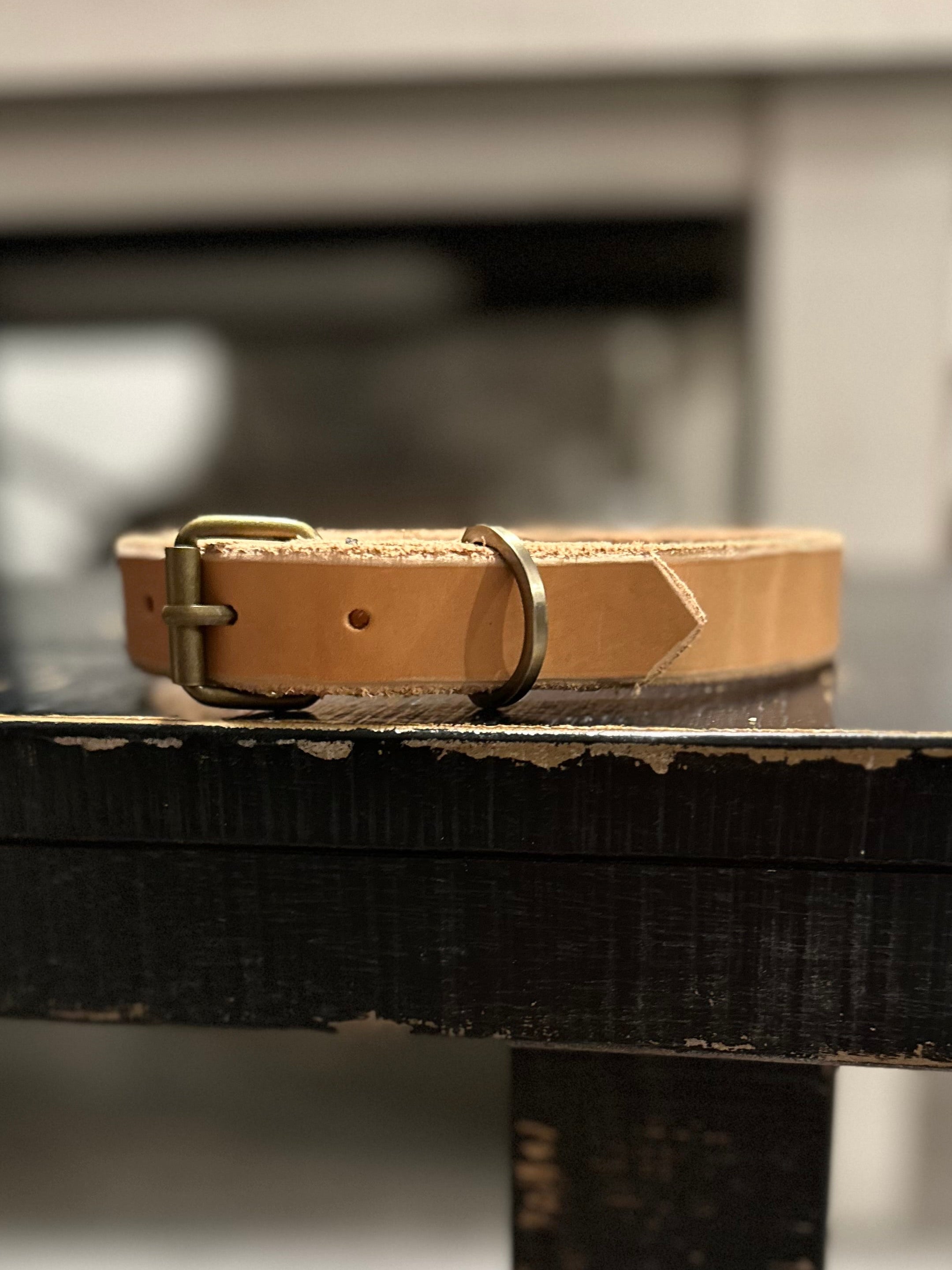 Working Dog Leather Kit- Collar and Leash