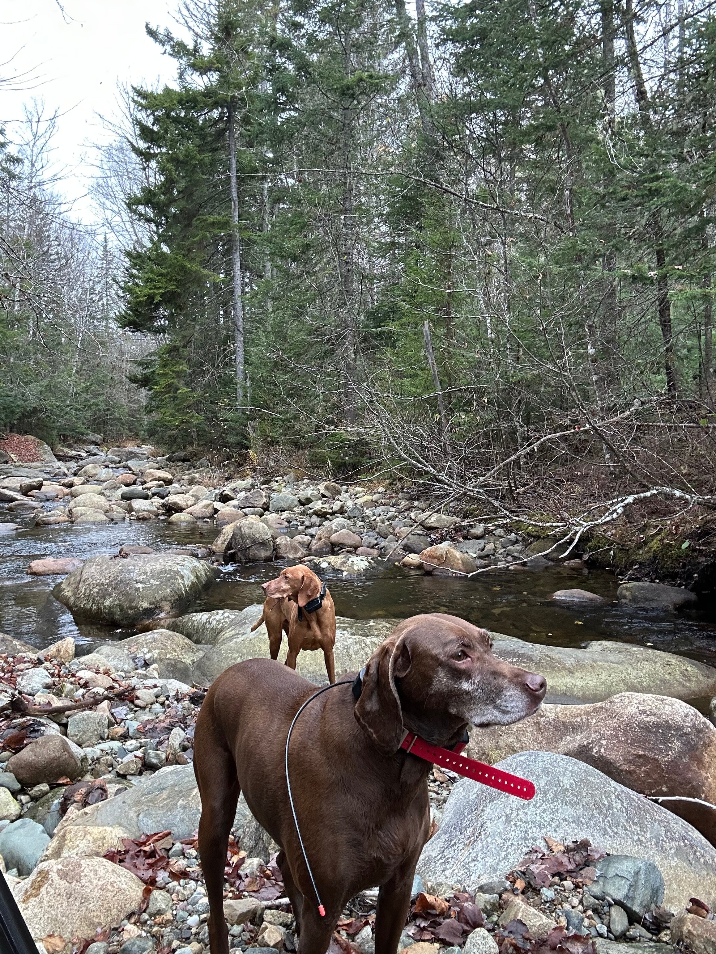 The Field Eventually Finds Your Limit