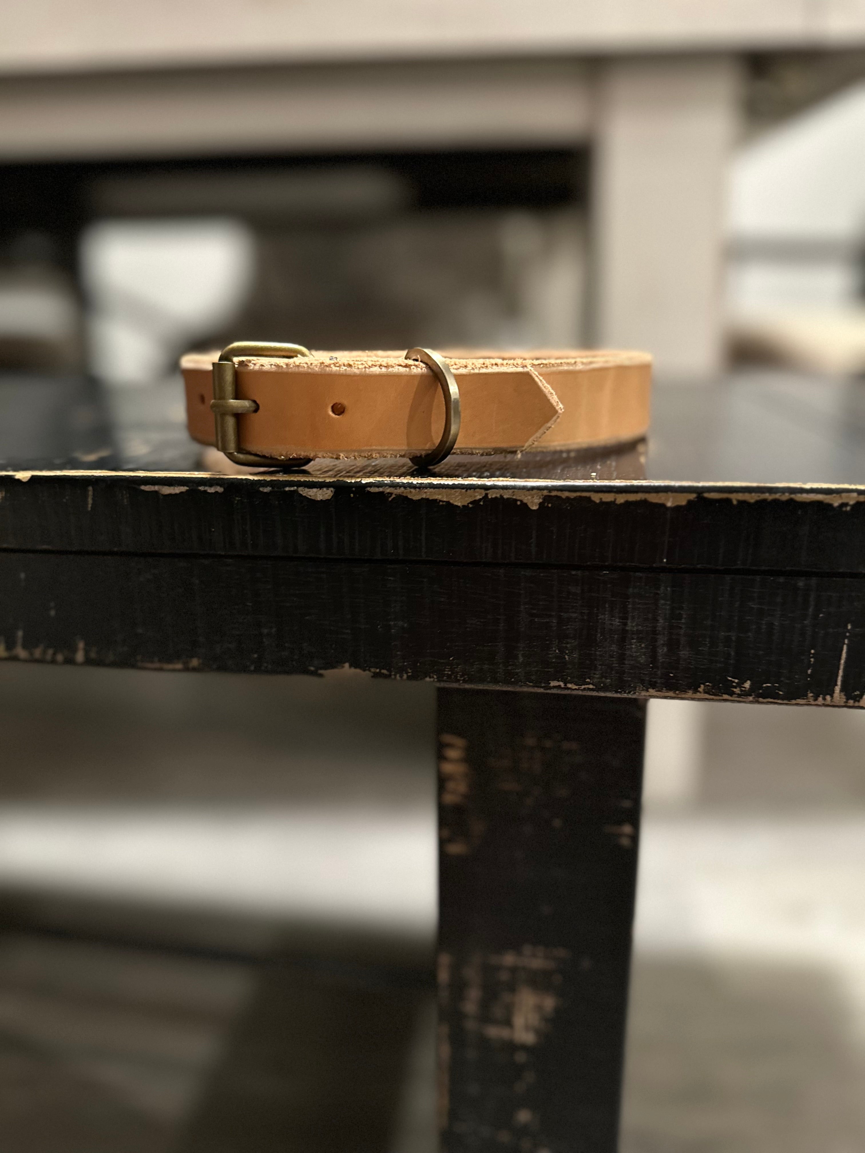 Forged Field Dog Collar - Preorder - Ships End of July